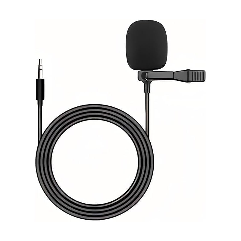Computer Microphones
