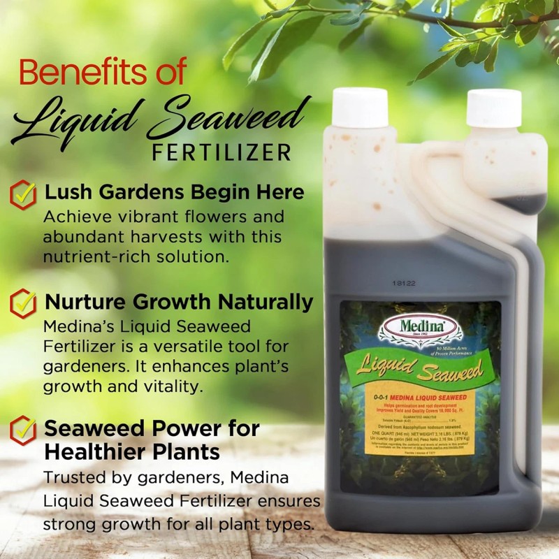 Medina Liquid Seaweed Fertilizer 128 oz Bottle Enhances Plant Growth