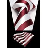 HISDERN Men's Tie Striped Wedding Tie & Pocket Square Set,