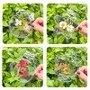 40 PCS Transparent Dried Flower Bookmarks, 2025 New Clear Jars