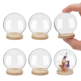 NBEADS 6 Pcs Mini Round Glass Dome, Clear Glass Display Dome Cover with Wood Base Cloche Bell Jar for Centerpieces Plants Rocks Specimens Decorations Crafts, Diameter: 4cm BurlyWood