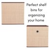 Internet's Best Canvas Storage Bin - 2 Pack - Brown