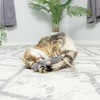 SPOT Flat Mouse Frankie with Catnip - Cat Toy, Fuzzy