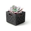 Genuine Fred Fancy Plants Milk Crate, Planter