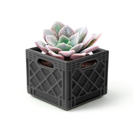 Genuine Fred Fancy Plants Milk Crate, Planter