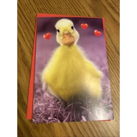 American Greetings Ducky Valentine's Day card For Anyone  American Greetings Sells for $5.29 Simple