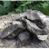 Bushlore Flint Stone Rock | For Steel Striker, Fire Starter
