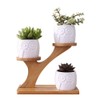 Linglan Ceramic Succulent Garden Planter, Mini Owl Flower Pots with