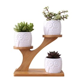 Linglan Ceramic Succulent Garden Planter, Mini Owl Flower Pots with Bamboo Stand, 3 Pieces