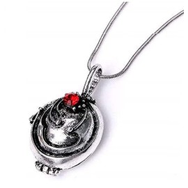 Niche-Finds Vervain Necklace Locket FILLED WITH REAL VERVAIN Verbana