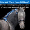 SU-PER Wheat Germ Oil Blend for Horses - Supports Energy,