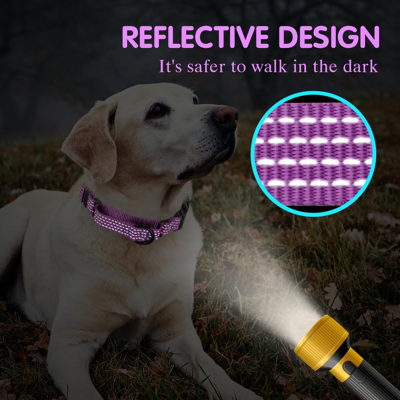 Bpawser Martingale Collar for Training Dogs 1 Count Adjustable Reflective