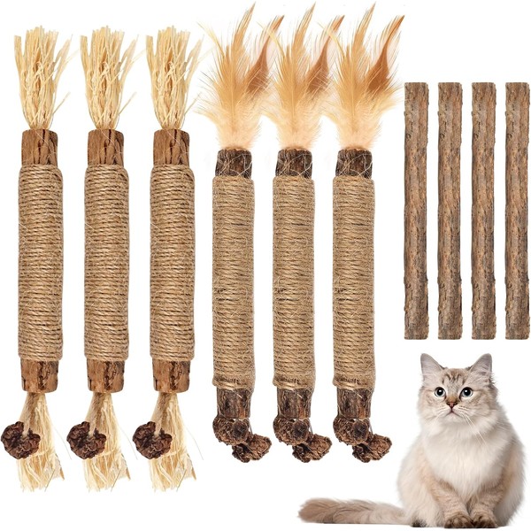Does not apply 10 PCS Silvervine Chew Sticks for Cats,