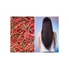2 Shampoo Chile Y Romero Anti Caída Y Crecimiento Cabello