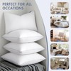 MIULEE 26 x 26 Pillow Inserts (Set of 2) -Throw