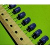 Surge Components 12 PCs Surge CAPACITOR AL 220UF 220MF 16V