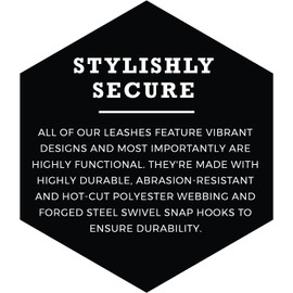 Wolfgang Premium Dog Leash for Small Dogs Heavy Duty, Durable & Easy to Clean Nylon Dog Leash with Quick Clip Buckles, for Training & Daily Use, Made in USA, DawnPatrol Print (5/8 Inch x 4 Ft)