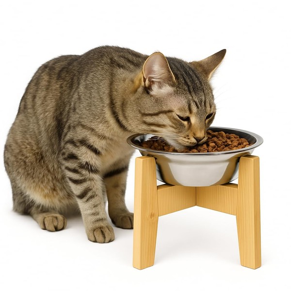 YIKATEND Cat Bowl - Stainless Steel Dog Cats Food &