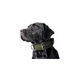 Kawagogo Large Dog Collar, Tactical Military Training Heavy Duty Dog