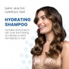 Aloxxi Colourcare Hydrating Shampoo, 33.8 Ounce
