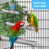KATUMO Parrot Perch - Stainless Steel African Grey Perch Bird