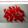 50PCS Chicken Beak Clips Pliers for Chickens Poultry Blinders Chicken