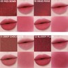 COLORGRAM Nude Blur Tint & SHINCHAN Hair Pin Set 2items