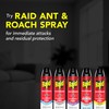 Raid Ant & Roach Aerosol Bug Spray, Water-Based Formula Insecticide