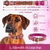 Leather Dog Collar - Western Dog Collar, Embroidered Design, Handmade,