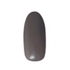 Pregel Gel Nails Color EX Seventies Charcoal 848 Color Gel