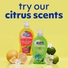 Softsoap Softsoap Antibacterial Liquid Hand Soap, Fresh Citrus Scent Hand