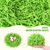 MARFOREVER 200 g Easter Grass Green, Filling Material Gift Decorative