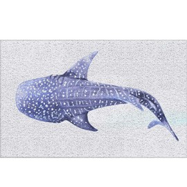 RYYCDOI Whale Shark Beach Door Mat, Coastal Beachy Doormat Outdoor Indoor Entrance Porch, Whale Shark Gifts Outdoor Mat, Nautical Ocean Welcome Mats for Front Door, 17x30 Inch