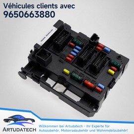 Artudatech Car Fuse Box 9650663880 for Citroen C3 C4 C5 for Peugeot 1007 206 206+ 307 406 807 Blade Fuses Car Tuning Replacement