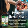 Nature's Answer Burdock Root Extract 1 Ounce - Alcohol Free,