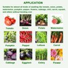 PreAsion Seedling Transplanting Bulb Planter Tool Long Handle, Vegetable Young