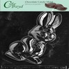 LARGE BUNNY chocolate candy mold