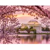 Noah Jigsaw Puzzle Washington, DC at The Tidal Basin and