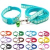 Doggie Style Store Small Dog Puppy Pet Collar and Lead