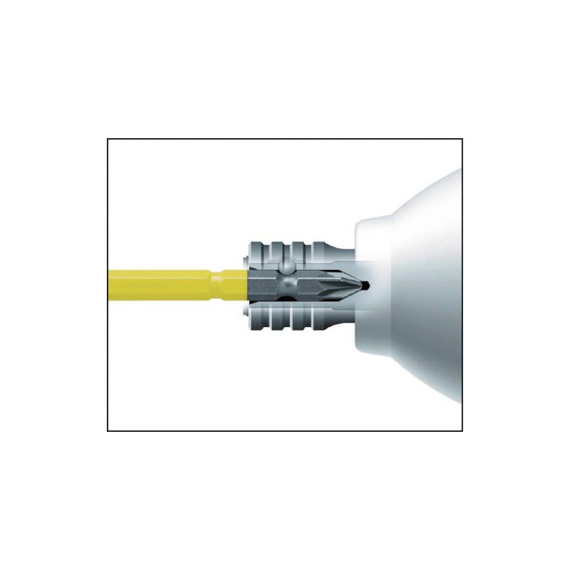 ANEX ACPZ-2110 PZ (Posi) Shape Color Bit Double-Ended PZ #2x110