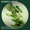 Acondicionador Aveda Rosemary Mint