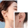Silver Stud Earrings for Women, Stud Earrings Red Cubic Zirconia