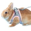 Uccellino Rabbit Mesh Harness, Cool, Breathable, Adjustable Length, Lead, Easy
