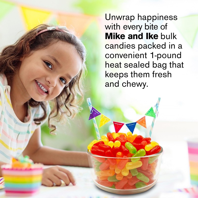 Mike and Ike Candy Bulk - 1 Pound Bag (16