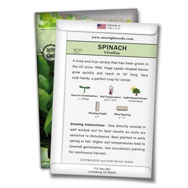 Sow Right Seeds - Viroflay Spinach Seed for Planting - Non-GMO Heirloom Packet with Instructions to Plant a Home Vegetable Garden, Great Gardening Gift (1)