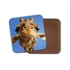 1 x Cute Giraffe Drinks Coaster - Safari Africa Animal
