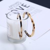 Acrylic Hoop Earrings Resin Acrylic Leopard Print Round Circle Stud