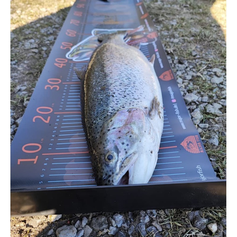 Major Fish Fish Tape Measure Trout Ruler 105 cm x