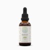 HerbEra Beetroot B120 Alcohol-Free Herbal Extract Tincture, Concentrated Liquid Drops