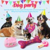 JellyArch 4 Pcs Dog Birthday Toys Set Plush Squeaky Dog